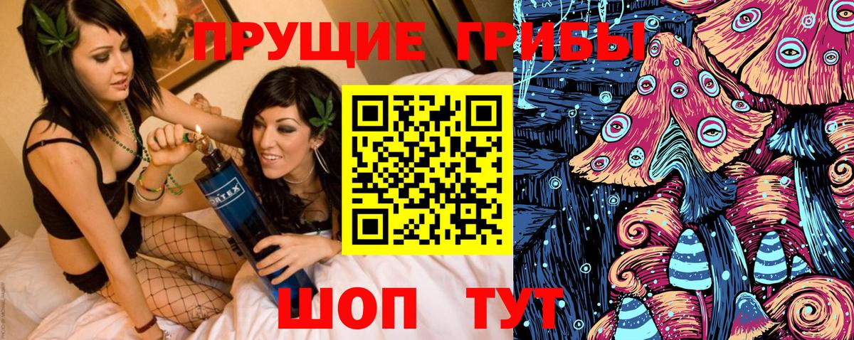 где купить наркотик  Псилоцибиновые грибы Cubensis  Вход с VPN  Йошкар-Ола 